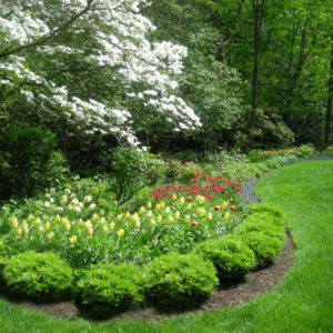 Long graceful bed lines with low plantings allow for a showy spring bloom.