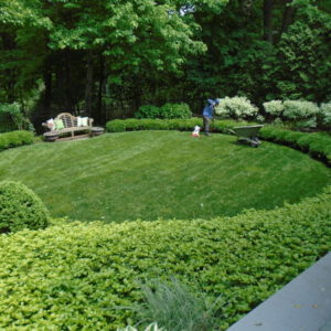 Proper landscape techniques are needed to maintain a well designed garden.