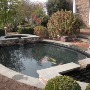 This formal pond with its unique shape and dual waterfalls creates a soothing sound and easy access to view the fish.