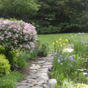 Landscape plantings can work together with aquatic plants to create a beautiful scene.