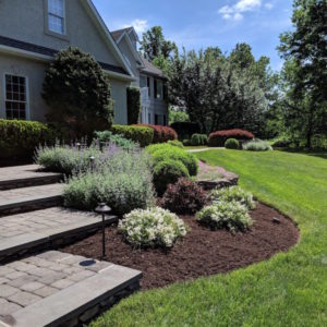 Soft textures and repeating colors thoughout this landscape creates interesting curb appeal.