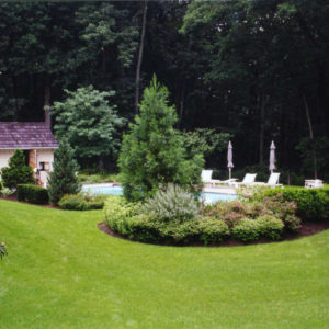 This pool garden was designed using hedging and small trees to create a private destination.