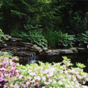 This woodland pond with small waterfall creates a relaxing atmosphere.