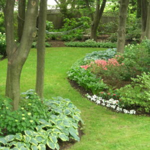 Established trees provide the perfect setting for designing gardens that thrive in the shade.