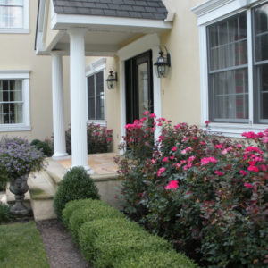 Everblooming roses and formal boxwood hedge creates a beautiful, clean appearance throughout the year.