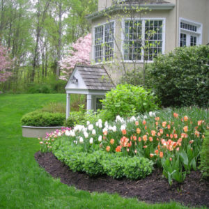 Early spring color is an important aspect of landscape design.