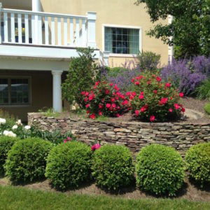 The right landscape design can soften necessary retaining walls.