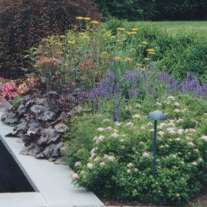 Combinations of bloom times, colors and textures creates the perfect landscape.