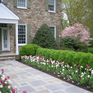 The spring bloom color arrangement was designed for this formal entranceway to enhance the natural stone of the home.