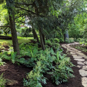 Pennsylvania fieldstone is the perfect stone for a wandering woodland path.