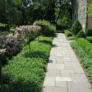Designing with color and fragrance in mind, this design creates an inviting landscape along the walkway.