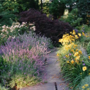 Perennial Garden – Perennial gardens are designed with blooming time in mind to ensure there is color throughout the seasons.